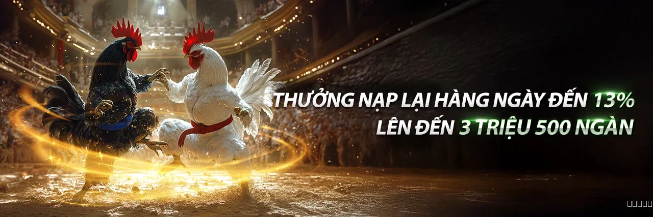 Hướng dẫn đá gà tại 789club